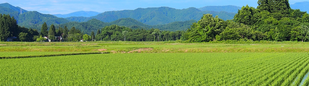 土地活用のサポート